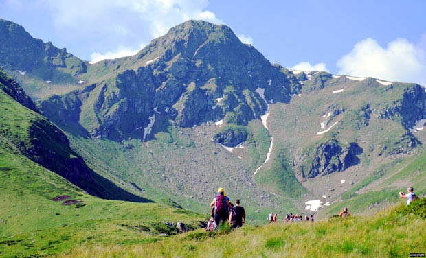 Дивље лепоте Шаре